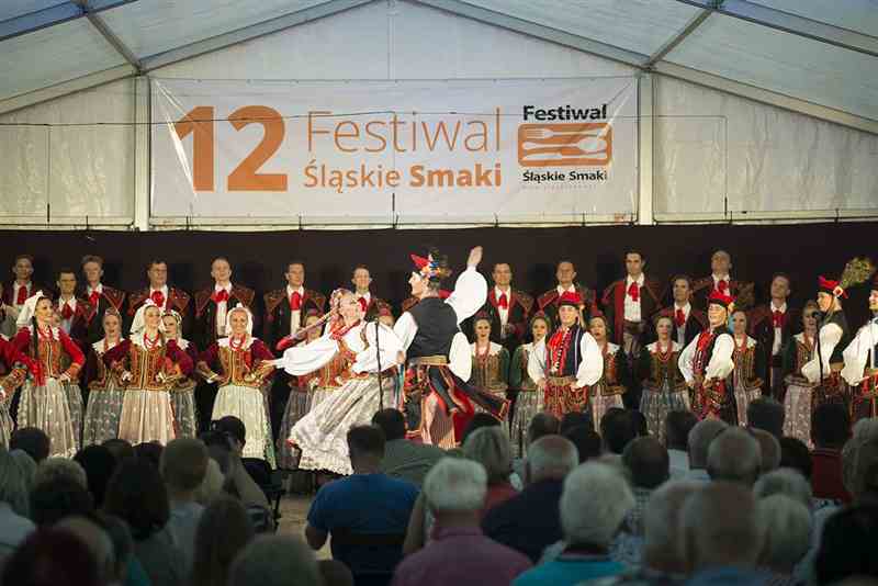 12 festiwal slaskie smaki koszecin 2017 - 49.jpg